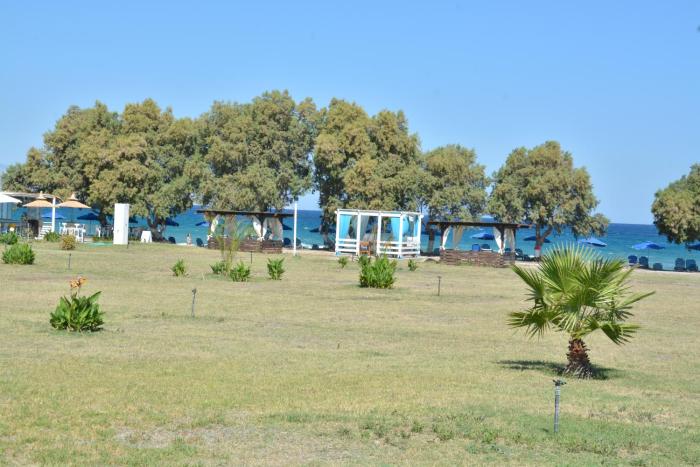 costa angela