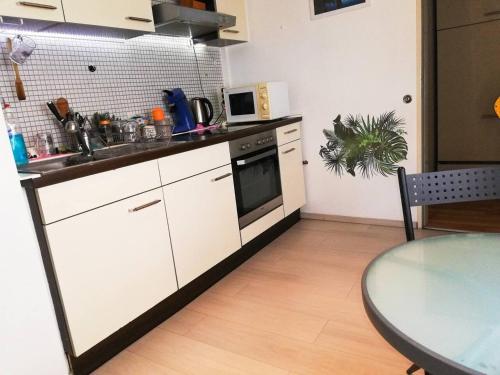 vacation apartment near the black forest