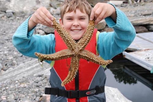 sotra rorbusenter