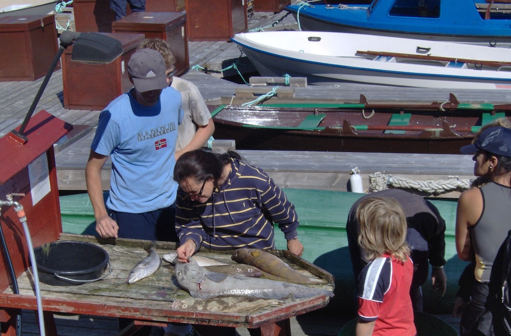 sotra rorbusenter