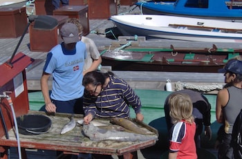 sotra rorbusenter