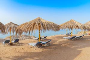sharm el sheikh