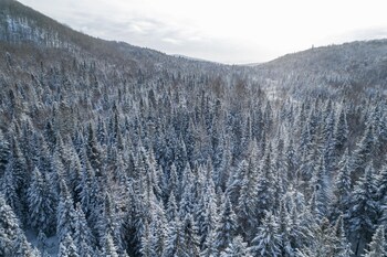 les petits chalets