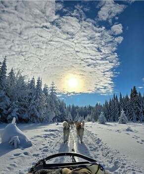 les petits chalets