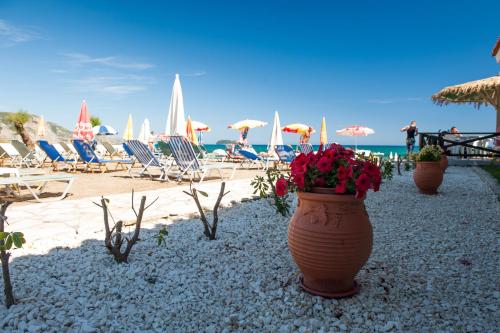 kalamaki beach hotel zakynthos island