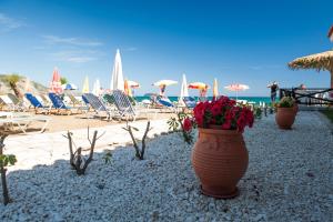 kalamaki beach hotel zakynthos island