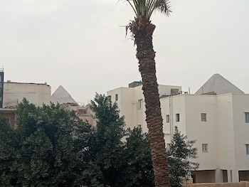 giza