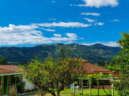 pereira
