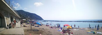 moneglia