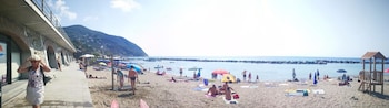 moneglia