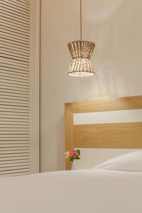 aeolos resort mykonos