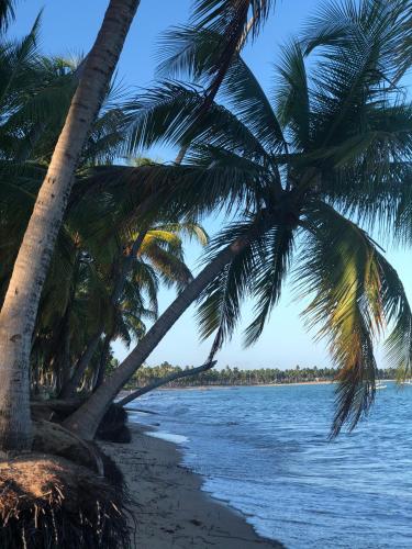 porto de pedras