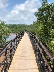 le petit suites praia de lages