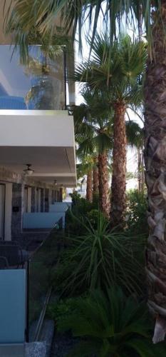 lazar lux suites ammoudara