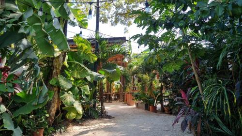 zulu surf hotel