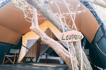 tribe yala luxury camping