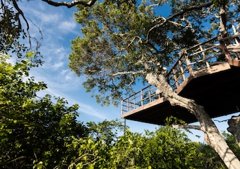 tribe yala luxury camping