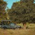 tribe yala luxury camping