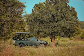 tribe yala luxury camping