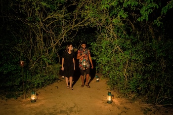 tribe yala luxury camping
