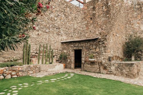 orchid house san miguel de allende