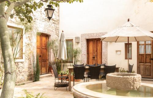 orchid house san miguel de allende