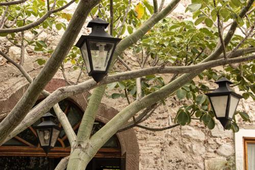 san miguel de allende
