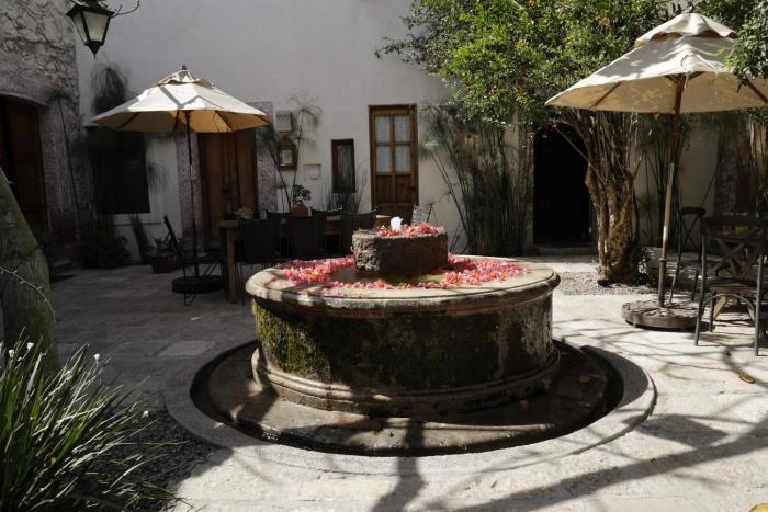 orchid house san miguel de allende