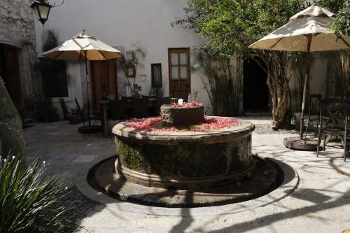 orchid house san miguel de allende