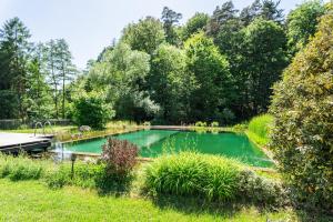 heimbuchenthal