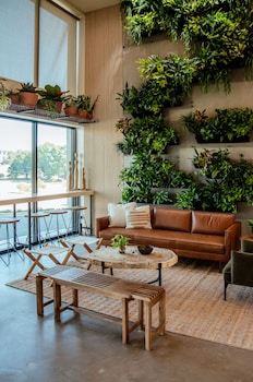 brut hotel