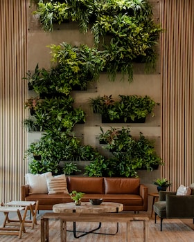 brut hotel