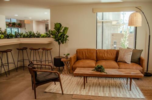 brut hotel