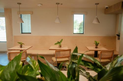 brut hotel