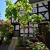 wetter