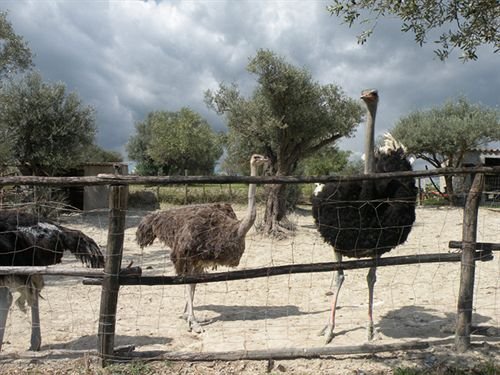 agriturismo fassi