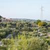 agriturismo fassi