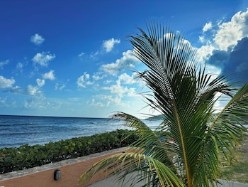 grapetree bay hotel and villas