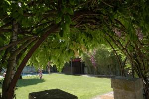 marques garden house by olivia