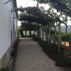 quinta da calcada