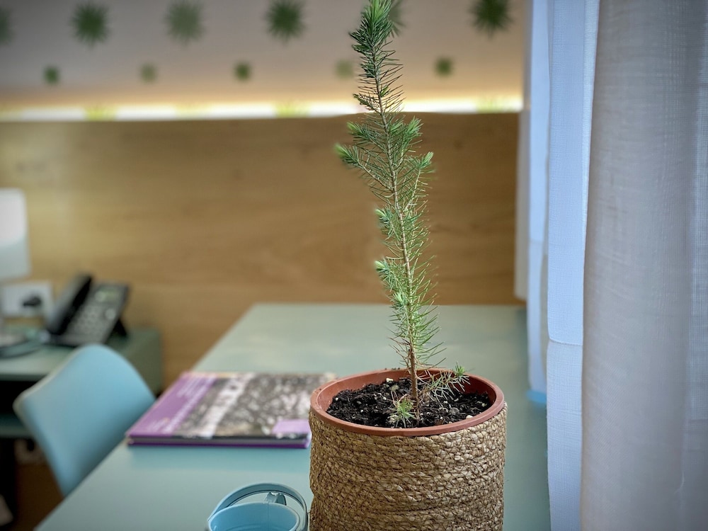 alaro natura rural suites