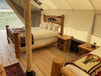yellowstone dreamin camp