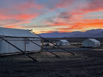 yellowstone dreamin camp