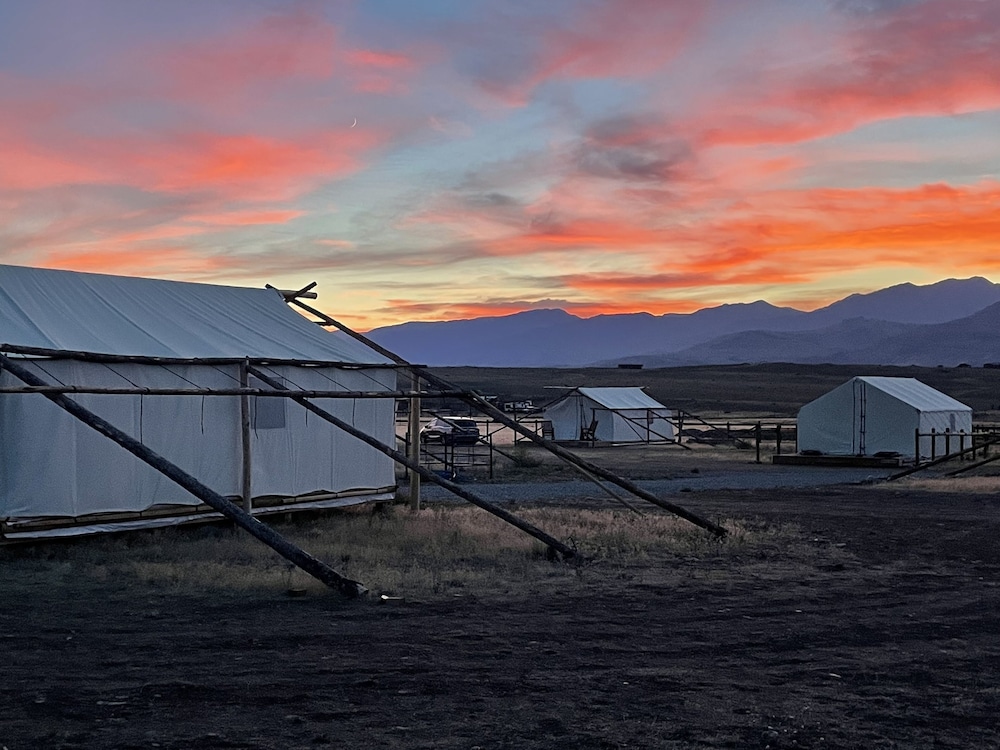 yellowstone dreamin camp