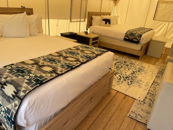 yellowstone dreamin camp