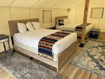 yellowstone dreamin camp