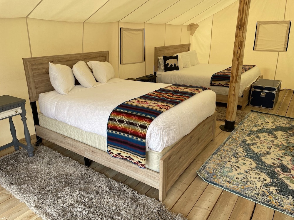 yellowstone dreamin camp