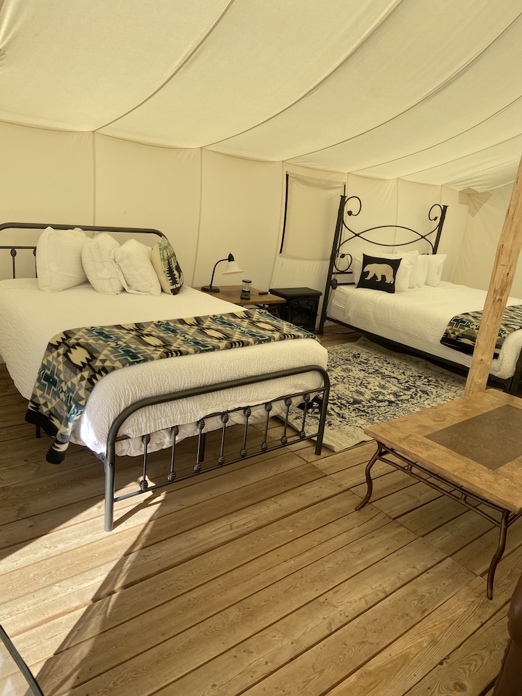 yellowstone dreamin camp