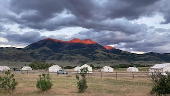 yellowstone dreamin camp