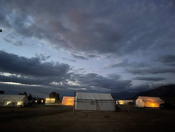 yellowstone dreamin camp